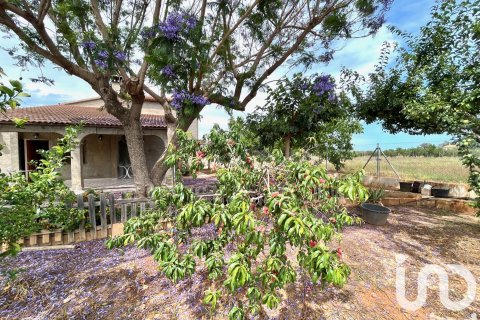 Dom w Torreblanca, Castellon, Hiszpania 4 sypialnie, 273 mkw. nr 153405 – zdjęcie 20