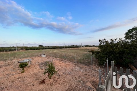 Dom w Torreblanca, Castellon, Hiszpania 4 sypialnie, 273 mkw. nr 153405 – zdjęcie 17