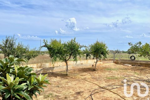 Dom w Torreblanca, Castellon, Hiszpania 4 sypialnie, 273 mkw. nr 153405 – zdjęcie 21