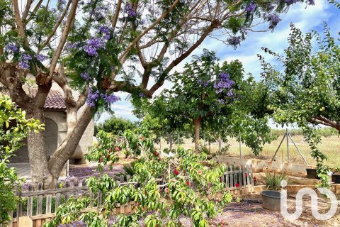 Dom w Torreblanca, Castellon, Hiszpania 4 sypialnie, 273 mkw. nr 153405 – zdjęcie 22