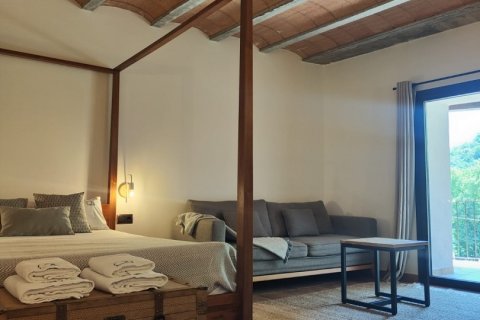 Kamienica w La Vall d'en Bas, Girona, Hiszpania 6 sypialni, 433 mkw. nr 153402 – zdjęcie 14