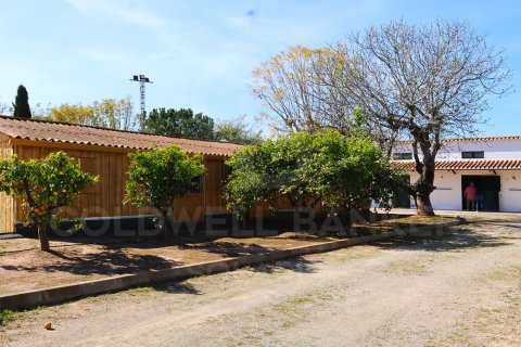 House à vendre à Betera, Valencia, Espagne, 7 chambres, 867 m2 No. 178847 - photo 29