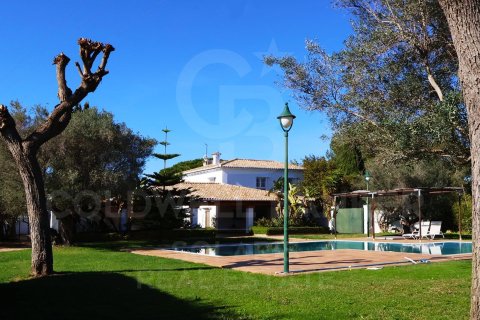 House à vendre à Betera, Valencia, Espagne, 7 chambres, 867 m2 No. 178847 - photo 4