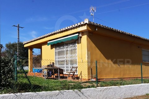 House à vendre à Betera, Valencia, Espagne, 7 chambres, 867 m2 No. 178847 - photo 27