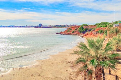 Dzīvoklis pārdošanā Torrevieja, Alicante, Spānijā 3 istabas, 98 m2 Nr. 144794 - attēls 23