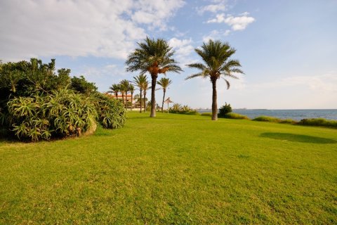 Apartamento en venta en Torrevieja, Alicante, España 2 dormitorios, 90 m2 No. 144793 - foto 22