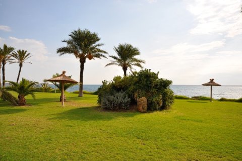 Apartamento en venta en Torrevieja, Alicante, España 2 dormitorios, 90 m2 No. 144793 - foto 21