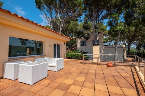 Продажа дома в Льяфранк, Герона, Испания 4 спальни, №141094 - фото 26