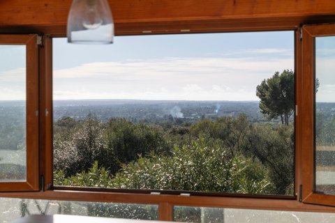 Finca vuokrattavana Llucmajor, Mallorca, Espanja, 3 makuuhuonetta, 120 m2 No. 156059 - kuva 22