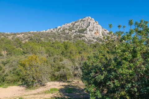 Finca vuokrattavana Llucmajor, Mallorca, Espanja, 3 makuuhuonetta, 120 m2 No. 156059 - kuva 6