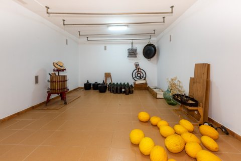 Finca vuokrattavana Marratxinet (Marratxi), Mallorca, Espanja, 4 makuuhuonetta, 319 m2 No. 156063 - kuva 15