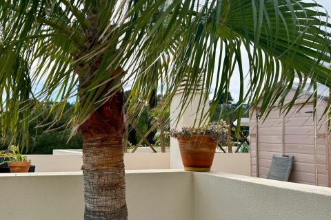 Huoneisto vuokrattavana Cala Vinyes, Mallorca, Espanja, 2 makuuhuonetta, 90 m2 No. 156062 - kuva 11