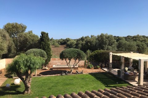 Finca pārdošanā Santanyi, Mallorca, Spānijā 3 istabas, 210 m2 Nr. 156060 - attēls 8