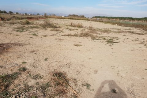 Terreno in vendita a Ciudad Quesada, Alicante, Spagna N° 74714 - foto 1