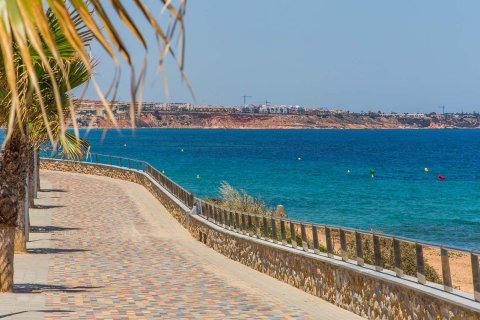 Bungalow zum Verkauf in Pilar de la Horadada, Alicante, Spanien 3 Schlafzimmer, 83 m2 Nr. 164672 - Foto 11