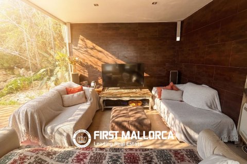 Villa en venta en El Toro, Mallorca, España 5 dormitorios, 274 m2 No. 164669 - foto 5