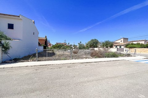 Land zum Verkauf in Mallorca, Spanien Nr. 147788 - Foto 5