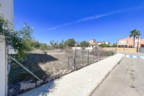 Zemes gabals Mallorca, Spānijā Nr. 147788