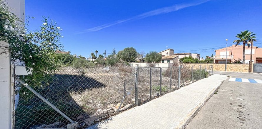 Land in Mallorca, Spanien Nr. 147788