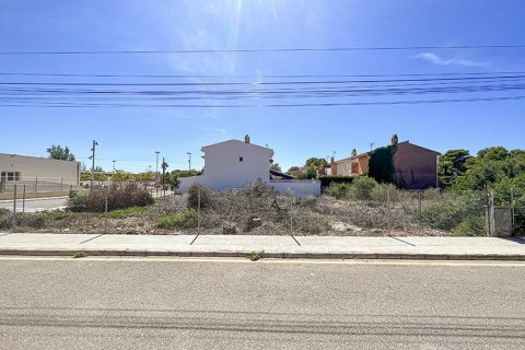 Land zum Verkauf in Mallorca, Spanien Nr. 147788 - Foto 6