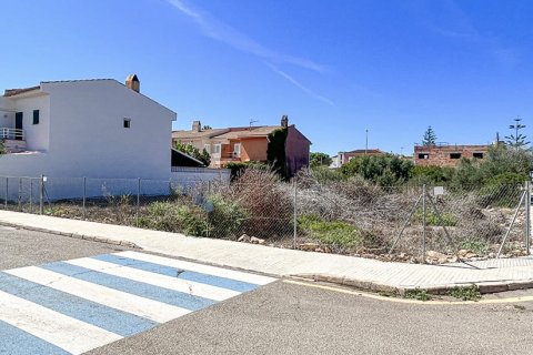 Land zum Verkauf in Mallorca, Spanien Nr. 147788 - Foto 8