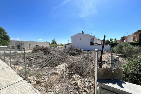 Land zum Verkauf in Mallorca, Spanien Nr. 147788 - Foto 2