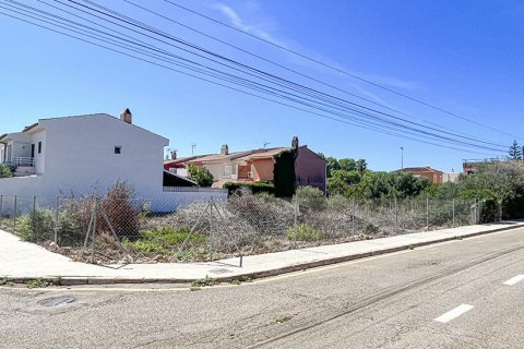 Land zum Verkauf in Mallorca, Spanien Nr. 147788 - Foto 9