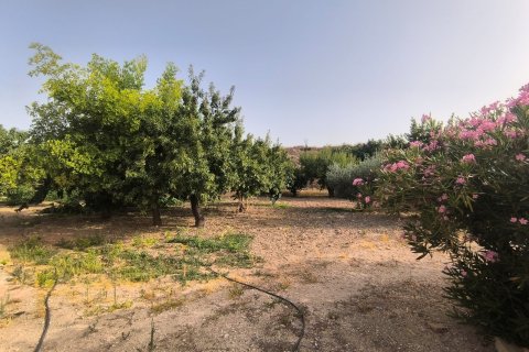 Villa à vendre à Pinoso, Alicante, Espagne, 3 chambres, 120 m2 No. 195436 - photo 5