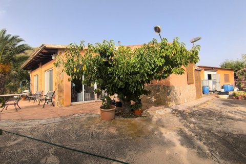 Villa à vendre à Pinoso, Alicante, Espagne, 3 chambres, 120 m2 No. 195436 - photo 2