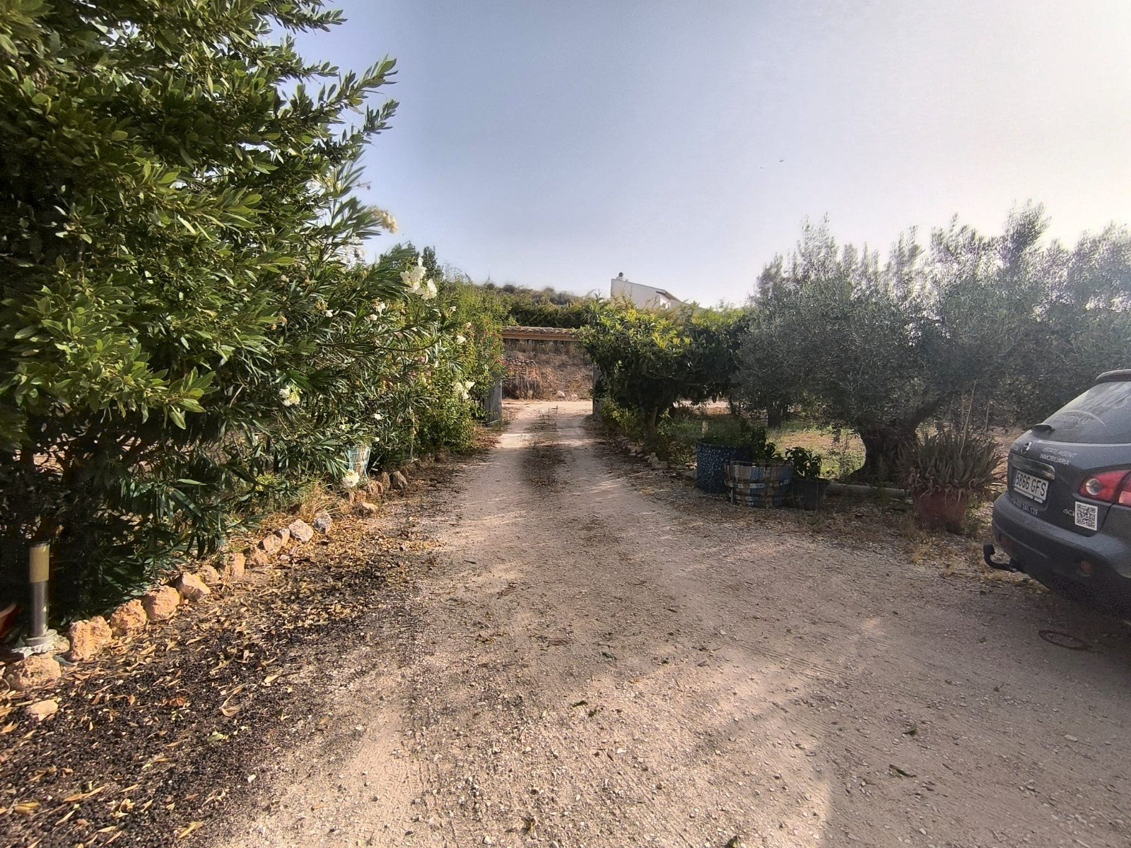 Villa en Pinoso, Alicante, España 3 dormitorios, 120 m2 No. 195436