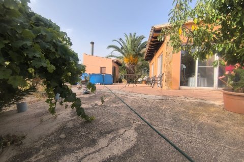 Villa à vendre à Pinoso, Alicante, Espagne, 3 chambres, 120 m2 No. 195436 - photo 19