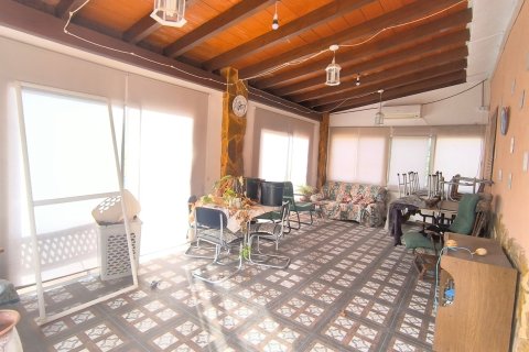 Villa à vendre à Pinoso, Alicante, Espagne, 3 chambres, 120 m2 No. 195436 - photo 9