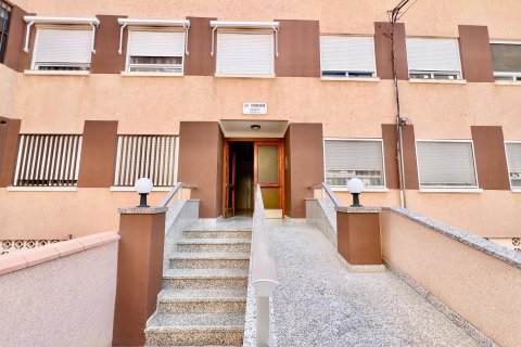 Apartment à vendre à La Mata, Alicante, Espagne, 3 chambres, 110 m2 No. 195435 - photo 5