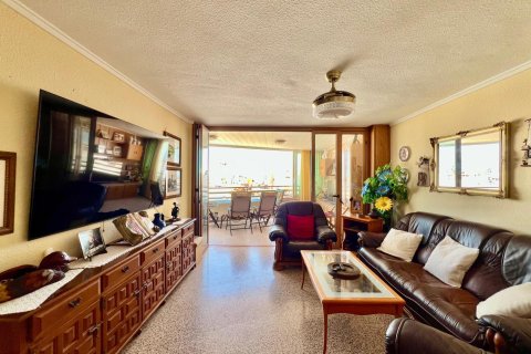Apartment à vendre à La Mata, Alicante, Espagne, 3 chambres, 110 m2 No. 195435 - photo 7