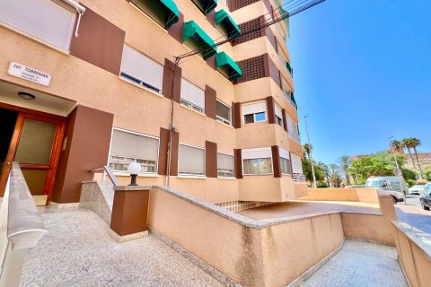 Apartment à vendre à La Mata, Alicante, Espagne, 3 chambres, 110 m2 No. 195435 - photo 4