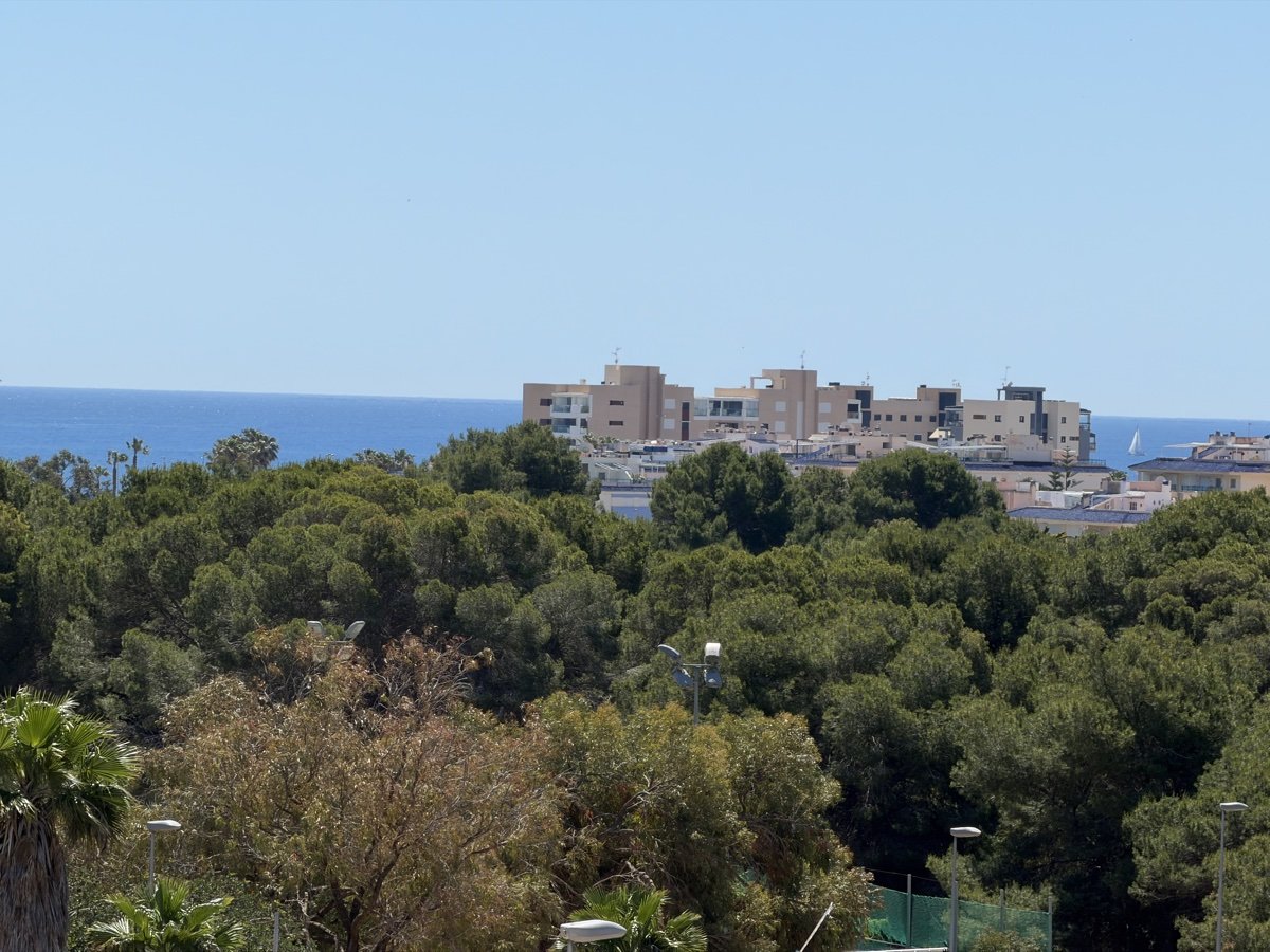 Villa Mil Palmeras, Alicante, Spānijā 4 istabas, 160 m2 Nr. 195439