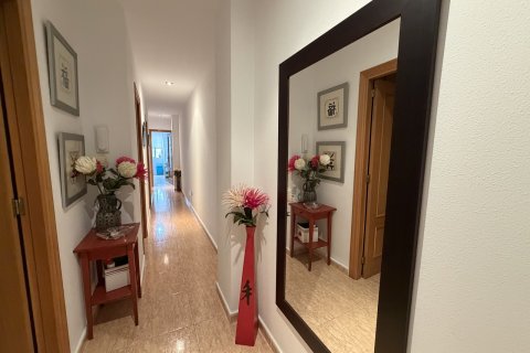 Appartamento in vendita a Pilar de la Horadada, Alicante, Spagna 2 camere da letto, 70 mq. N° 196155 - foto 18