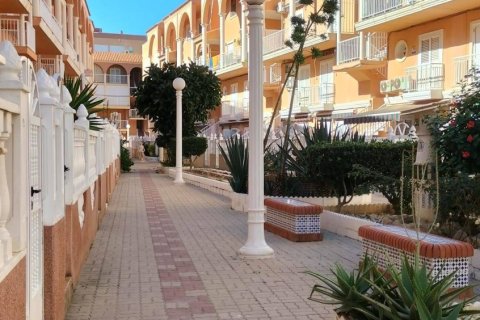 Lägenhet i La Mata, Alicante, Spanien 2 sovrum, 45 kvm. Nr. 184447