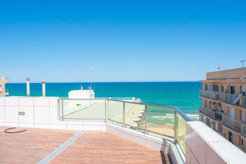 Apartment à vendre Guardamar del Segura, Alicante, Espagne, 2 chambres, 64 m2 No. 136768 - photo 30
