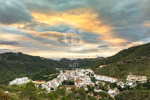 Apartment for sale in Benahavis, Malaga, Spain 2 bedrooms, 103 sq.m. No. 159971 - photo 14