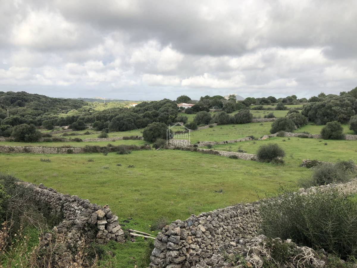 Terreno a Alaior, Menorca, Spagna 351 mq. N° 65161