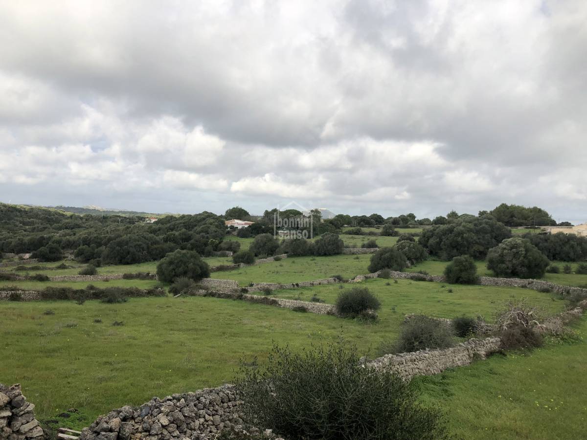 Terreno a Alaior, Menorca, Spagna 351 mq. N° 65161