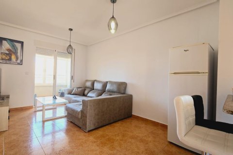 Квартира в Нуэва Торревьеха, Аликанте, Испания 1 спальня, 55м2 №183055