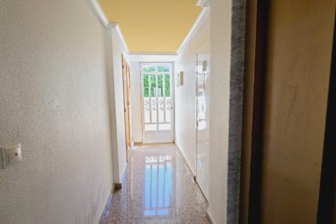 Продажа квартиры в Нуэва Торревьеха, Аликанте, Испания 1 спальня, 55м2 №183055 - фото 16