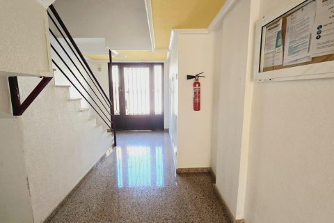 Продажа квартиры в Нуэва Торревьеха, Аликанте, Испания 1 спальня, 55м2 №183055 - фото 17