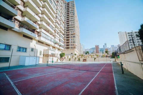 Dzīvoklis pārdošanā Benidorm, Alicante, Spānijā 1 istaba, 42 m2 Nr. 165445 - attēls 12