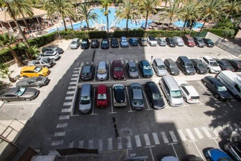 Dzīvoklis pārdošanā Benidorm, Alicante, Spānijā 1 istaba, 42 m2 Nr. 165445 - attēls 13