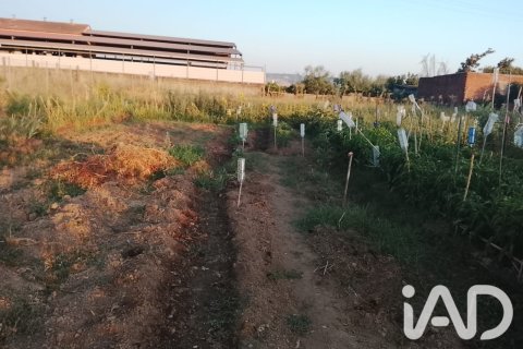 Land plot for sale in Talavera De La Reina, Toledo, Spain 1942.54 sq.m. No. 193523 - photo 25