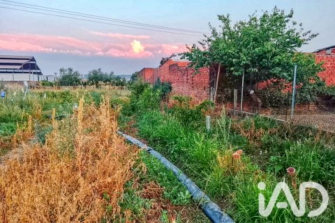 Land plot for sale in Talavera De La Reina, Toledo, Spain 1942.54 sq.m. No. 193523 - photo 4