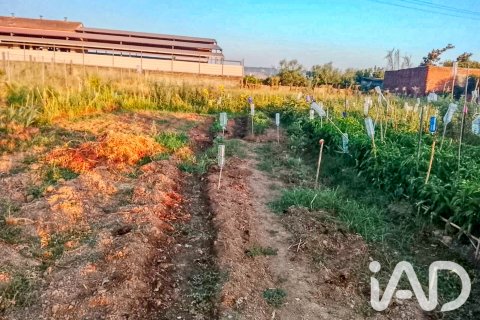 Land plot for sale in Talavera De La Reina, Toledo, Spain 1942.54 sq.m. No. 193523 - photo 20